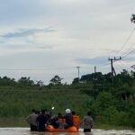 Lagi, Banjir Kembali Landa IKN Nusantara, 56 Rumah Terendam