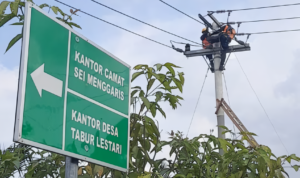 PLN Berhasil Alirkan Listrik 24 Jam di Tiga Desa Perbatasan di Nunukan