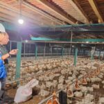 Elektrifikasi Sektor Pertanian PLN Tumbuh 22,28 Persen