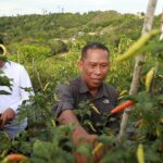 Bulungan Siap jadi Penyangga Pangan IKN Nusantara