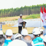 Presiden Jokowi Groundbreaking Pembangunan PLTS PLN 50 MW di IKN