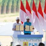 Kolaborasi PLN-Otorita IKN Siapkan Green National Capital City di IKN Nusantara
