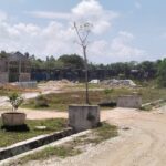 Perkimtan PPU Siapkan Bibit Tanaman Bagi Masyarakat