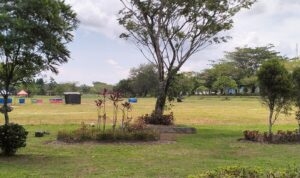 Dinas Perkimtan PPU Butuh Tambahan Peralatan Mesin Pemotong Rumput 