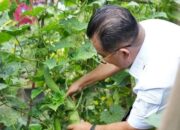 4 Hektar Lahan Politani Samarinda akan Dijadikan Agrowisata, Warga Bisa Akses