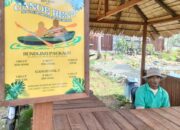 2 Jenis Destinasi Wisata Andalan di Balikpapan Kaltim, Upaya untuk Dongkrak Ekonomi Lokal