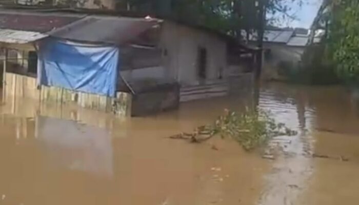 BREAKING NEWS: Hujan Deras, 3 RT di Sepaku Ibu Kota Nusantara Terendam Banjir