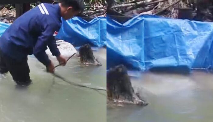 Kisah Warga Desa Tepian Terap di Kutim Kaltim, Berjuang untuk Swasembada Listrik dari Mata Air