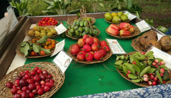 Membangun Taman Buah Puspantara Ibu Kota Nusantara, Seribu Bibit Pohon Ditanam