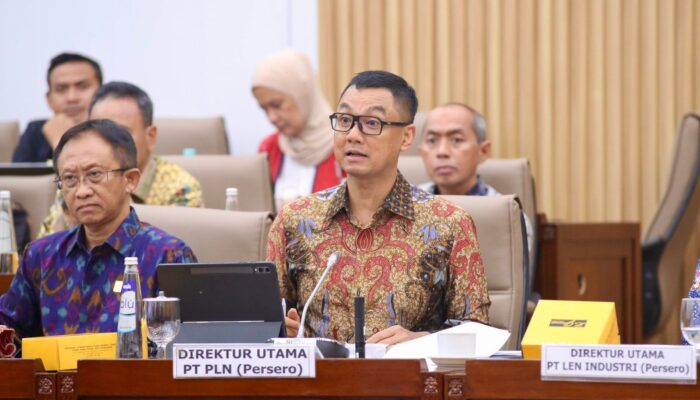 PLN Ajukan Rp3 Triliun PMN 2025 Bangun Kelistrikan Daerah Terpencil