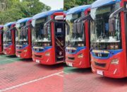 3 Rute Koridor Bus Balikpapan City Trans, Warga Bisa Pakai dengan Tarif Sementara Rp0 