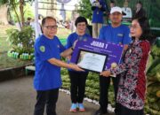 Hari Lingkungan Hidup Sedunia 2024, Pemkab PPU Bagikan Bibit Tanaman 