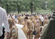 TERBARU ASN Lajang Diprioritaskan Pindah ke IKN Tahap Awal