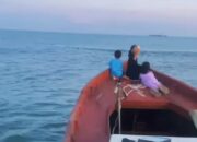 Paus Tampak di Perairan Dangkal Balikpapan, Dugaan Penyebabnya Terungkap