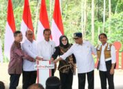 Daftar Investasi Swasta di Ibu Kota Nusantara Kaltim Rp53,5 Triliun, Ada Milik Sukanto Tanoto