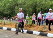 Jadi Ikon Baru Tempat Warga Berkumpul, DLH PPU Bakal Rutin Siram Pohon di Costal Road