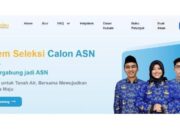 Jadwal Pengumuman PPPK 2024, Cara Cek Nama yang Lolos Via Login sscasn.bkn.go.id