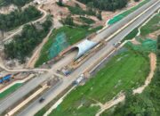Terowongan Tol Akses IKN Seksi Kariangau-Sp Tempadung Bisa di Lintasi Beruang Madu