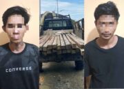 2 Pria di PPU Ditangkap Saat Curi Kayu Ulin, Ketahuan Berkat Suara Mobil Dini Hari