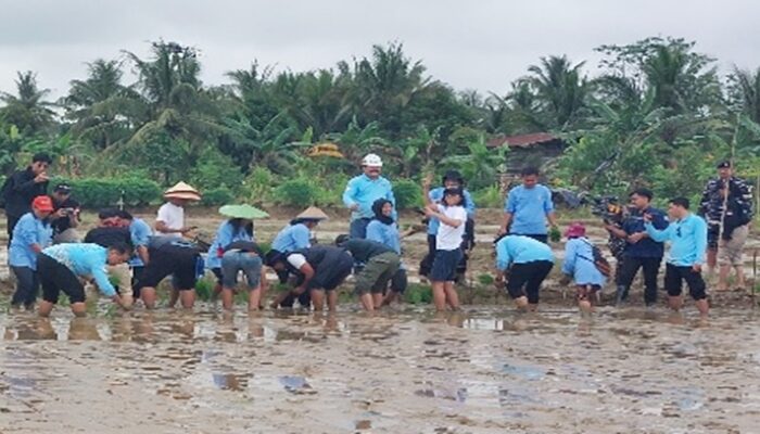 Ulap Doyo Berpotensi Beri Dampak Baik Bagi Lahan Bekas Tambang di Kaltim