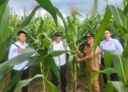 Dukung Ketahanan Pangan, Polres PPU Tanam Jagung di Lahan Mapolres