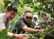 Desa Prangat Baru di Kukar Punya Kopi Luwak Khas, Wagub Seno Aji Janji Bantu Beri Bibit