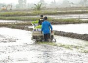 Maksimalkan Hasil Panen, Distan PPU Ajukan Bantuan Alat Panen ke Pemerintah Pusat