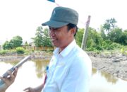 Hasil Perikanan Tangkap di PPU Melimpah, Mampu Penuhi Kebutuhan hingga Luar Daerah