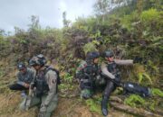 Operasi Basmi KKB Papua Komari Murib, Terungkap Ada Oknum Polisi Jual Amunisi