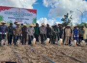 Sukseskan Program Ketahanan Pangan, Kapolda Kaltim Lakukan Panen Raya Jagung Serentak Kuartal II di PPU