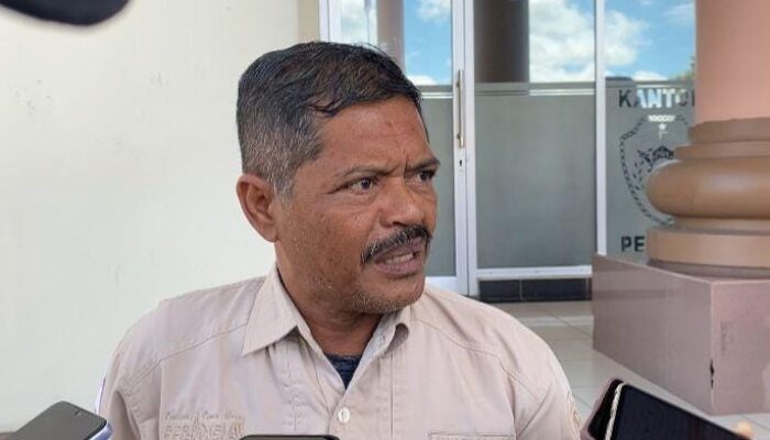 Pemkab PPU Genjot Produksi Jagung, Targetkan Berdirinya Pabrik Pakan Ternak di Masa Depan