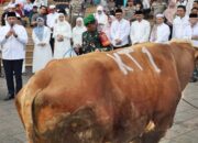 Idul Adha dalam Pandangan Sekdaprov Kaltim Sri Wahyuni, Bukan Sembelih Hewan Saja