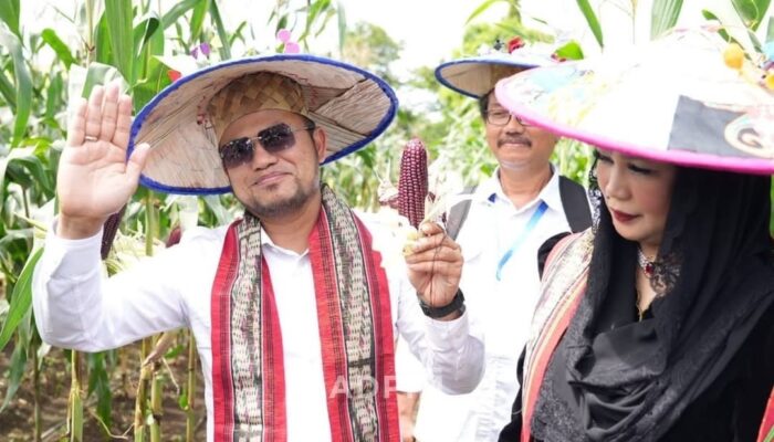 Brigade Pangan Kaltim Dibentuk, Gubernur Rudy Mas’ud Ingin Swasembada Pangan Lokal