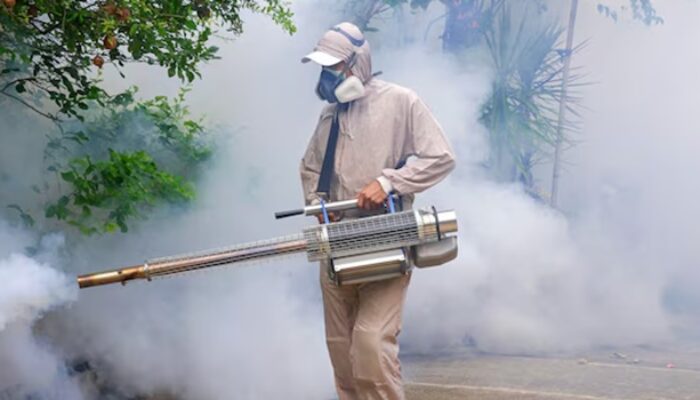 Wajib Diketahui, Inilah Hal-Hal yang Perlu Dilakukan Sebelum dan Sesudah Fogging