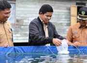 Penebaran 1 Juta Bibit Ikan, DKP PPU Dorong Sentra Budidaya Udang Vaname‎