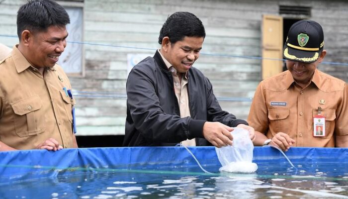 Penebaran 1 Juta Bibit Ikan, DKP PPU Dorong Sentra Budidaya Udang Vaname‎