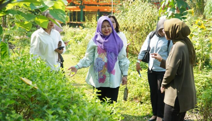 TP PKK PPU Kembangkan Kawasan Wisata Edukatif, Belajar dari Kebun Kumara