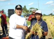 Bupati PPU Siapkan Babulu Jadi Lumbung Pangan Penyangga Kaltim dan IKN