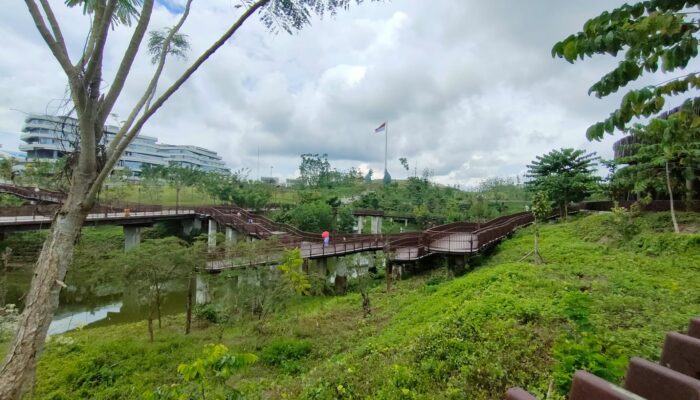 7 Tantangan Kalimantan Timur dalam Mengelola Karbon Biru, Meski Potensinya Sangat Besar