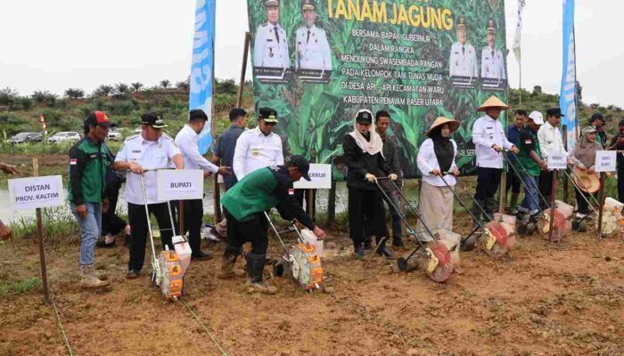 Bupati PPU Dampingi Gubernur Kaltim Tanam Jagung dan Panen Ikan Patin di Desa Api-api‎
