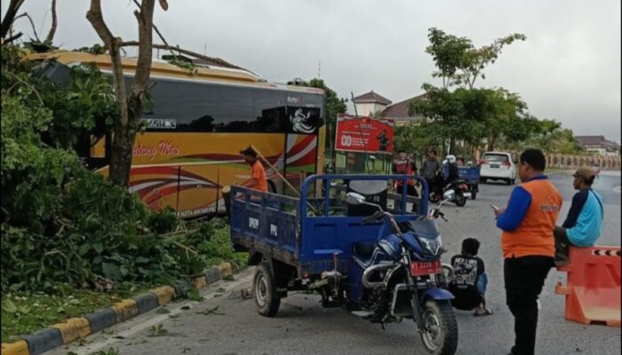 Bus Banjarmasin-Samarinda Kecelakaan di Penajam, Satu Penumpang Luka Ringan