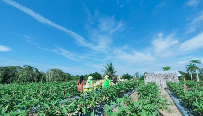 Lindungi Lahan dan Pasar Petani, Kunci Kedaulatan Pangan Kalimantan Timur