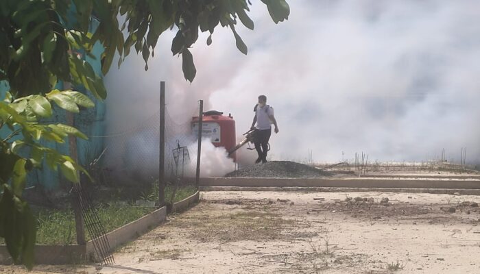 8 Kasus dalam Sepekan, Demam Berdarah Dengue Intai Kelurahan Nipah-nipah PPU