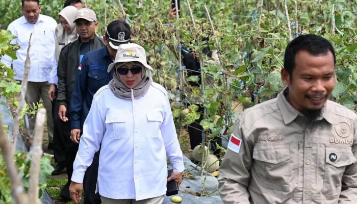 Wisata Petik Buah Dinilai Bisa Jadi Sumber Ekonomi Baru di PPU