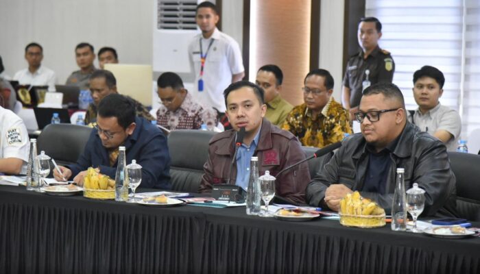 Darurat Konservasi Kalimantan Barat, DPR Minta Penegakan Hukum Atas 1,2 Juta Hektare Hutan Hilang