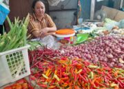 Harga Bawang Merah di PPU Naik, Tomat Justru Anjlok