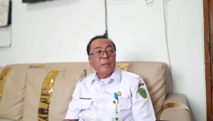 Ribuan Pengangguran di PPU, SLTA Jadi Penyumbang Terbesar