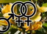 Duta Kampus di Samarinda Diduga Aksi Kekerasan Asusila, Korban Banyak dari Kaltim hingga Jawa