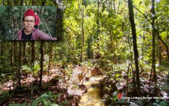 WISATA ALAM BALIKPAPAN - Jelajah ke Hutan Sungai Wain, Karang Joang, Kecamatan Balikpapan Utara, Kota Balikpapan, Kalimantan Timur pada Minggu 28 Desember 2025.