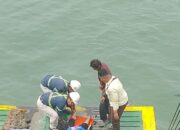 Terjerat Teror Video Hot di TikTok, Seorang Wanita Nekat Terjun ke Laut Penajam dari Kapal Ferry